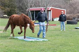 LR-WRF 0402026 Retreat-3362